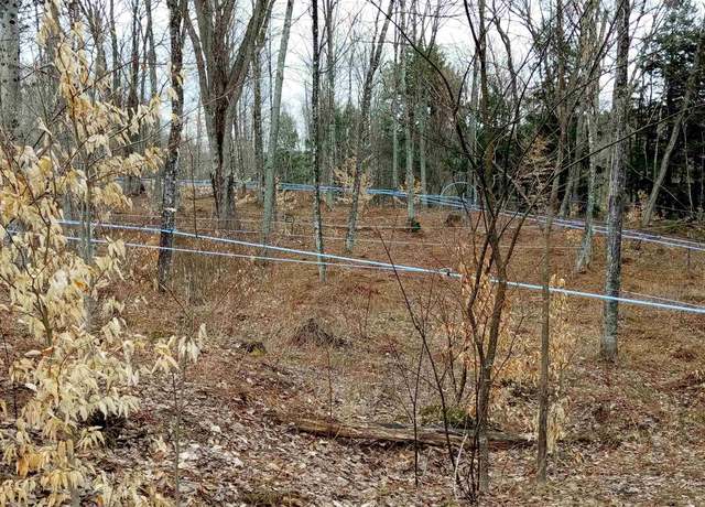 Property at 1036 Town Hill Rd, Wolcott, VT 05680