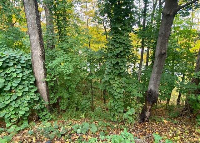 Property at 00 Cavendish Gulf Rd, Cavendish, VT 05142