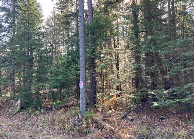 Property at 95 Chimney Hill Rd Unit M95, Wilmington, VT 05363-0415