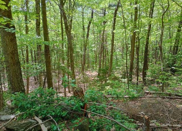 Property at Blueberry Hill Rd #321, Grafton, NH 03240