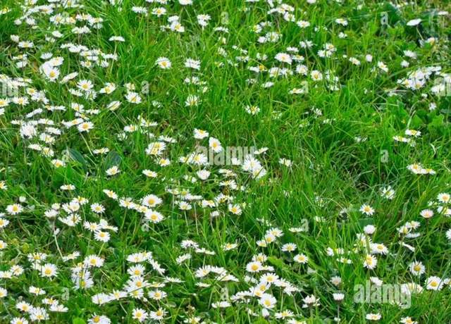 Property at coburn woods Rd Lot 4, New Durham, NH 03855