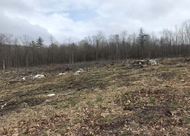 Property at 525 Governor Wentworth Hwy, Moultonborough, NH 03854