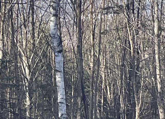Property at Old Franconia Rd #02, Bethlehem, NH 03574