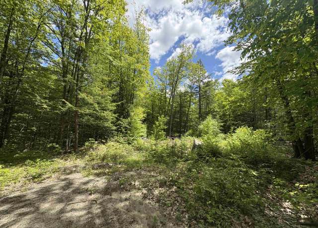 Property at Craig Rd Unit 4&5, Antrim, NH 03440