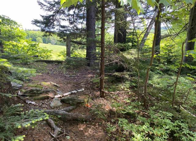 Property at 41 Rice Hill Rd, Dover, VT 05341