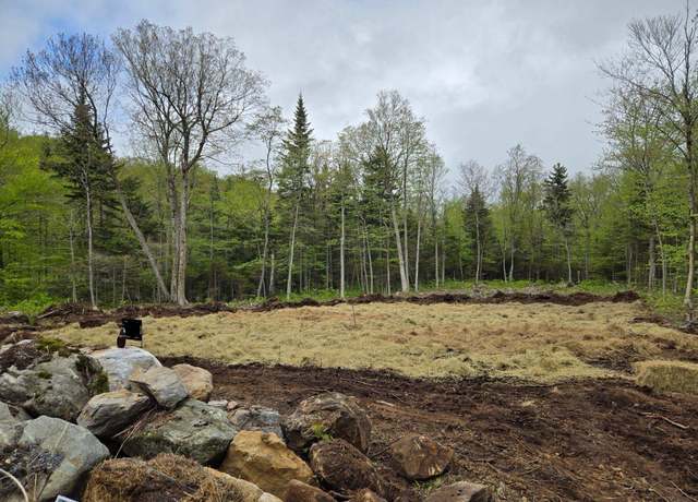 Property at 270 Bergabhang Dr #270, Readsboro, VT 05350