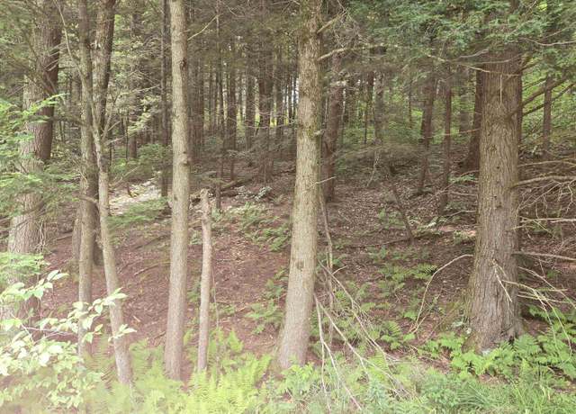 Photo of home in Chittenden County