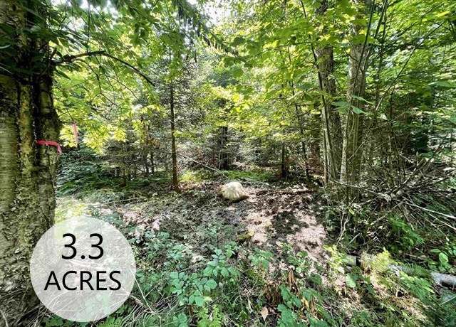Property at 00 Peene Hill Rd, Westmore, VT 05822