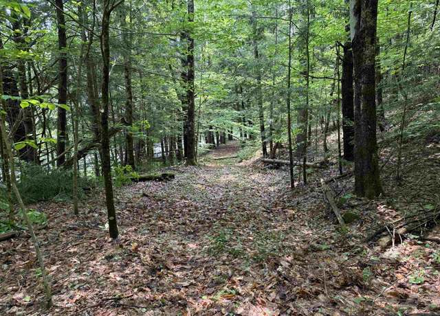 Property at 0 New Hampshire Route 120 #48, Cornish, NH 03745