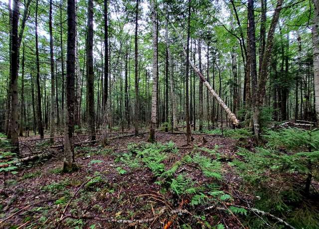 Property at Off Ellsworth Hill Rd #124, Campton, NH 03223