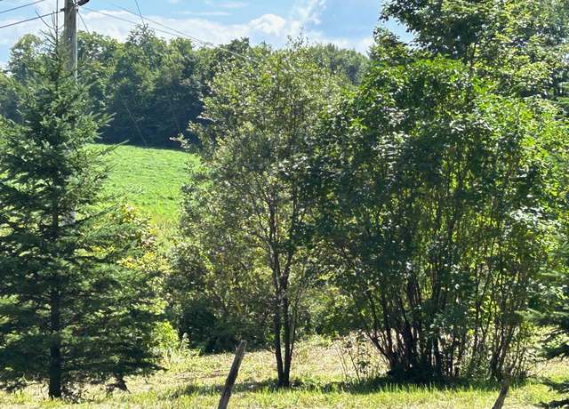 Property at 1587 Walden Hill Rd, Danville, VT 05828