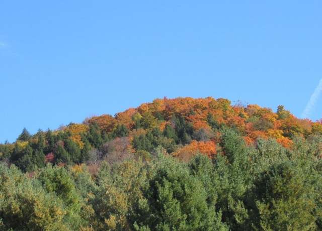 Property at 00 Blackmer Blvd, Stockbridge, VT 05772