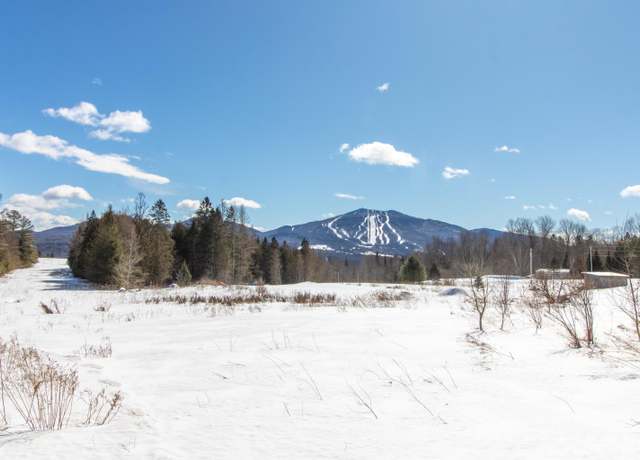Property at 1130 Burke Green Rd #3, Burke, VT 05832