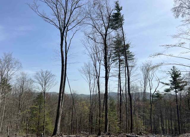 Property at 00 Burt Hill Rd Unit M:04 L:72 S:04, Winchester, NH 03470