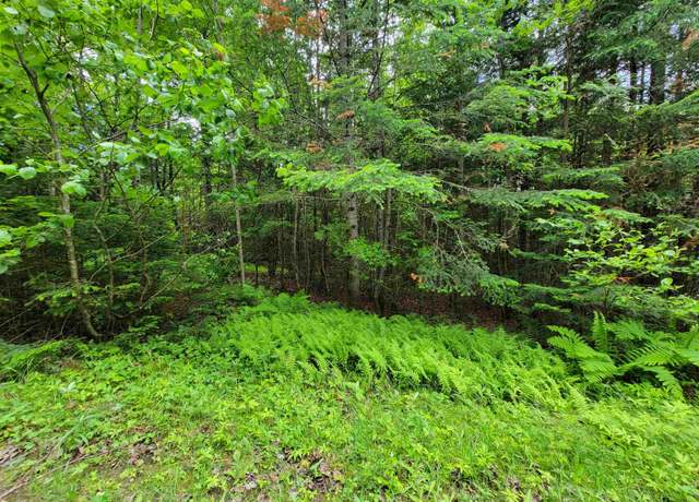 Property at Cricket Ln Unit 10 & 11, Colebrook, NH 03576