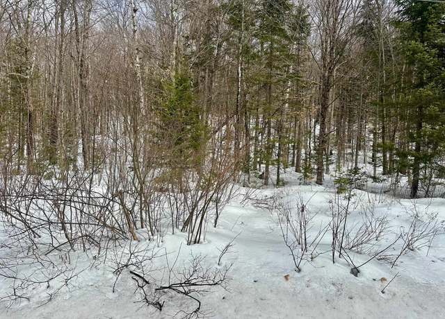 Property at 00 Loon Cir Unit E9, Londonderry, VT 05155
