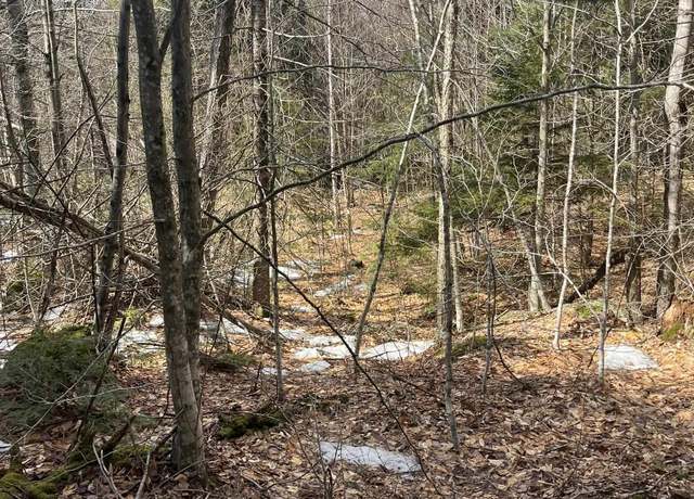 Property at E Washington Rd Lot 77-6 & 77-7, Washington, NH 03280