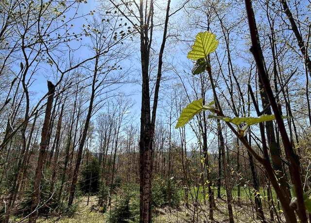Property at 00 Deep Gibou Rd, Montgomery, VT 05471