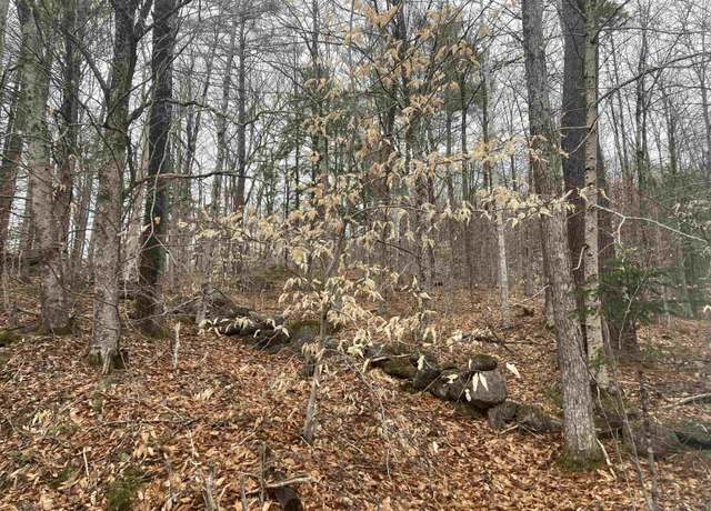 Property at 4 &5 River Rd, Dorchester, NH 03266