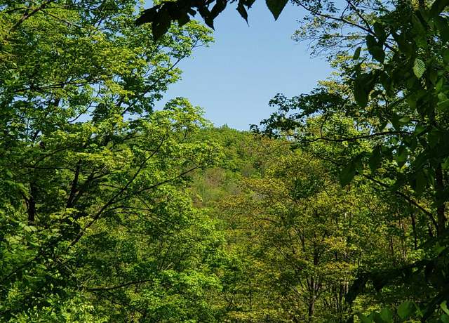 Property at 00 Beaver Meadow Rd, Roxbury, VT 05669