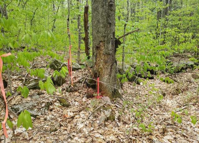 Property at 0 Old Gilsum Rd #006, Keene, NH 03431