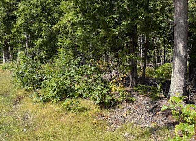 Property at Pine St #050, Hopkinton, NH 03229
