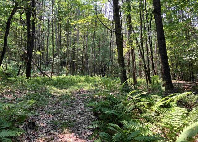 Property at Slab City Rd #0, Claremont, NH 03743