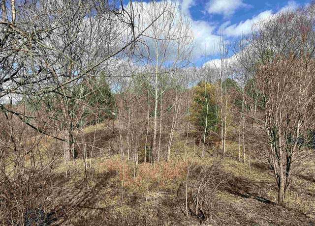 Property at 41 Hodge Hill Rd #24, Lisbon, NH 03585
