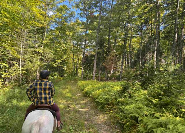 Property at 00 Baird Rd, Newark, VT 05871