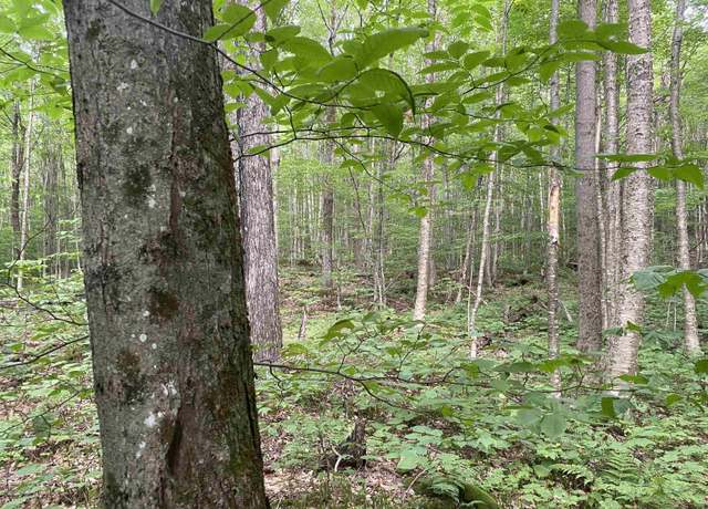 Property at 0 Maple St, Jay, VT 05859