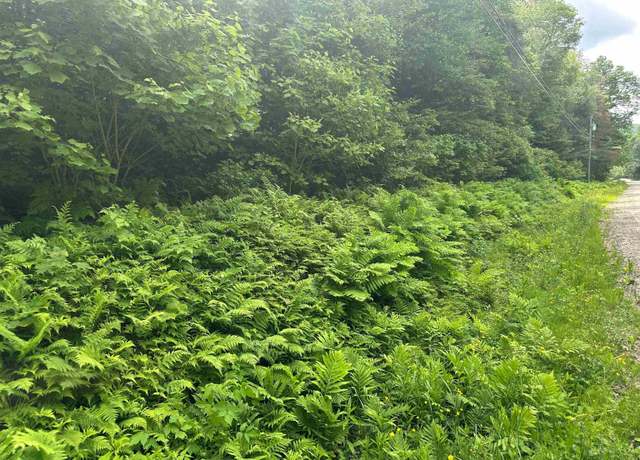 Property at 88A Sylvan Ridge Rd, Winhall, VT 05340