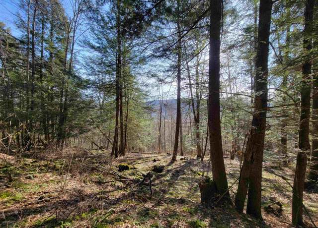 Property at 1890-B Bristol Rd, Monkton, VT 05469