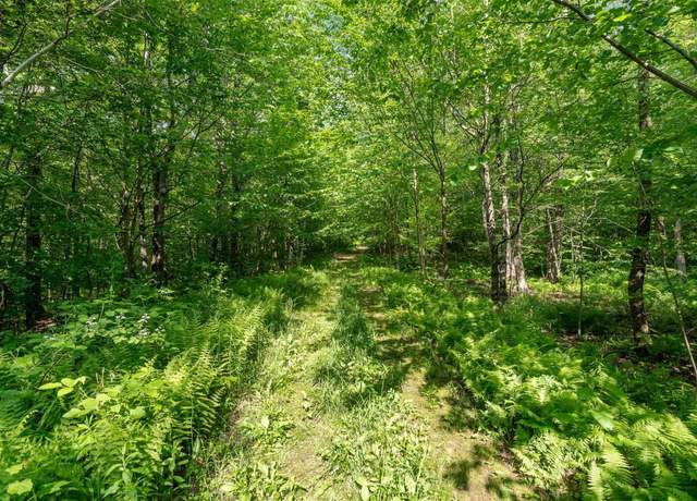 Property at 115 Stone Hill Rd, Bolton, VT 05477