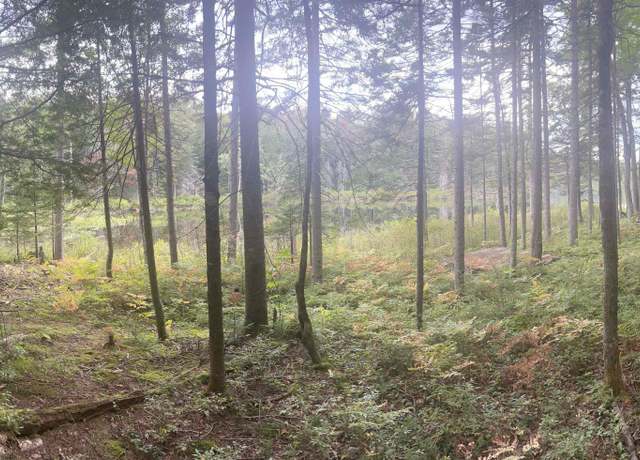 Property at 120 Halfmoon Pond Rd, Grafton, NH 03240