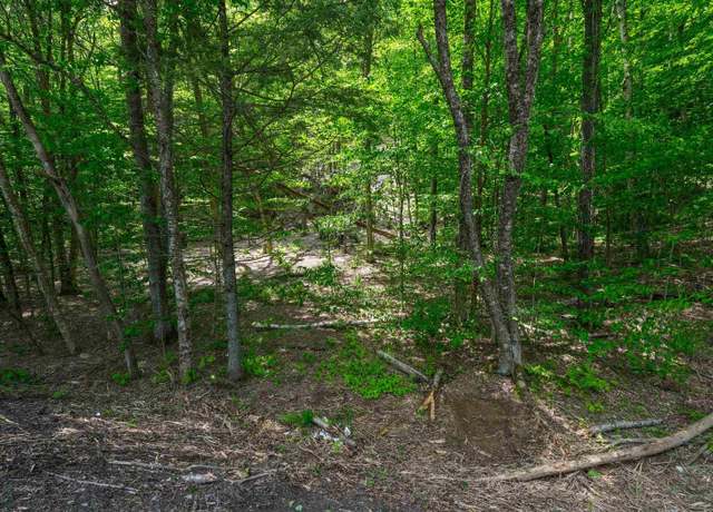 Property at 0 Route 100 N, Plymouth, VT 05056