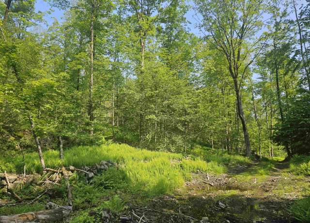 Property at 0 Stones Mill Rd #4, Chesterfield, NH 03462
