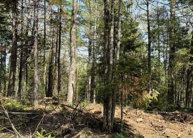 Property at Lot 3 NH Route 4A Unit 73-3, Grafton, NH 03240