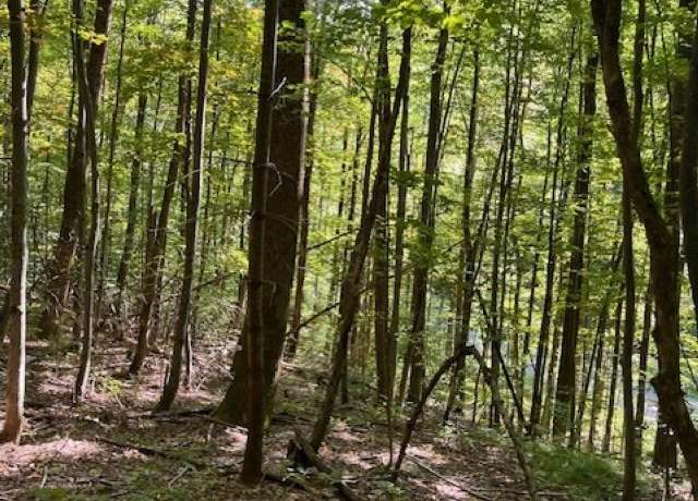 Property at 0 Rupert Rd, Sandgate, VT 05250