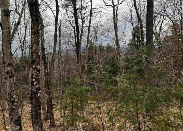 Property at 40 Aspen Dr, Madison, NH 03849