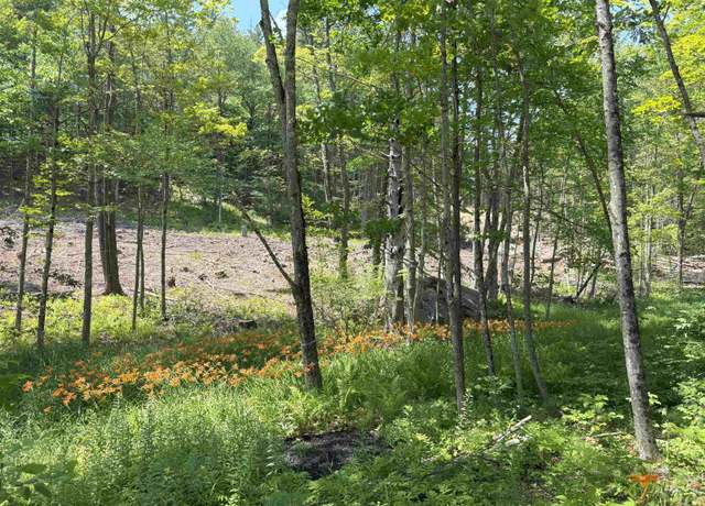 Property at 000 Province Rd Unit Tax Map 424 Lot 67, Gilmanton, NH 03237