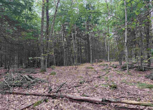 Property at Lot R11-11-1 Forest Rd #001, Hancock, NH 03449