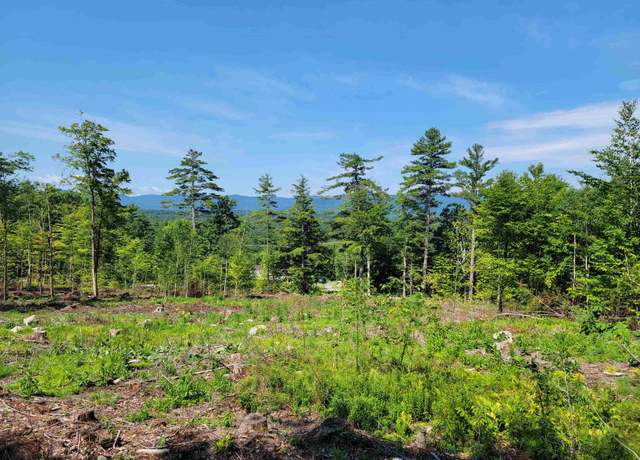 Property at 2024 Route 114, Bradford, NH 03221