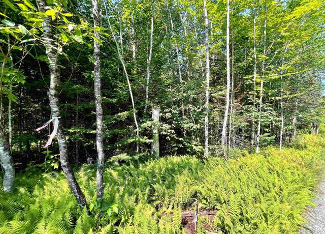Property at 501 Martins Pond Ln Lot 2, Peacham, VT 05862