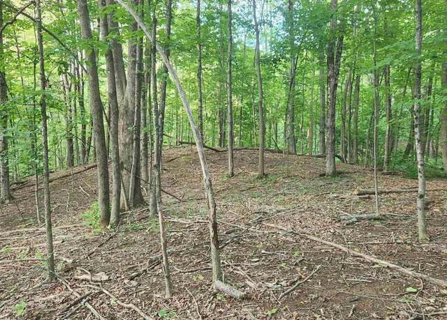 Property at 46-2 & 47 Route 153, Middleton, NH 03887
