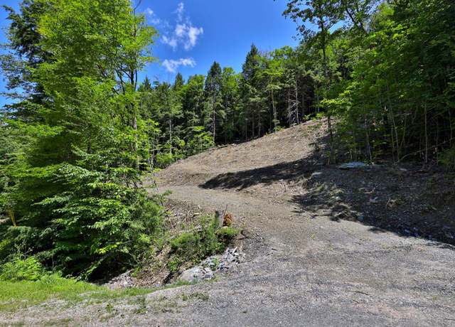Property at 1-25 Madison Brook Ln Lot 1-25, Stockbridge, VT 05772
