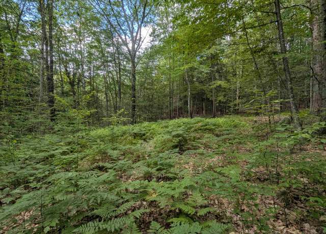 Property at A 66 Burton Hwy, Wilton, NH 03086