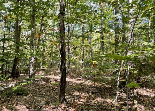 Property at 0 Route 123 Unit 6A, Sharon, NH 03458