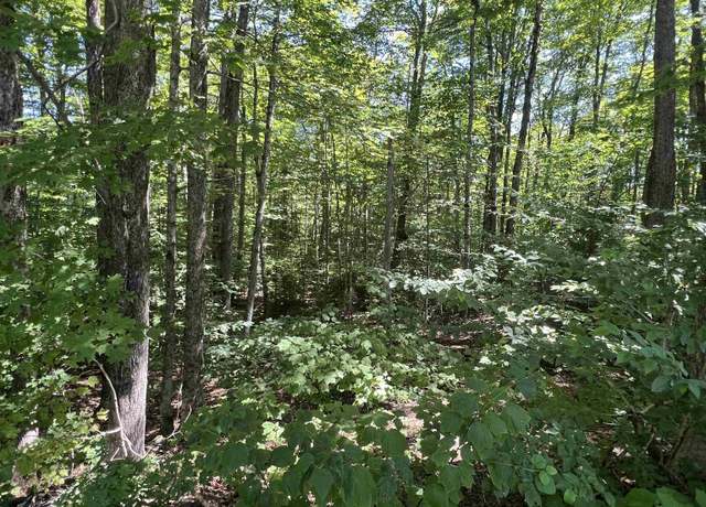 Property at 72 Buckboard Dr Unit DW061, Dover, VT 05356