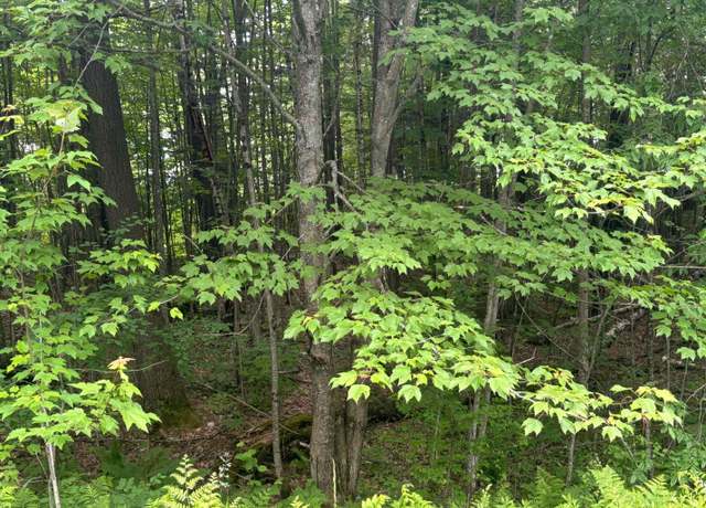 Property at 00 VT Route 105, Brighton, VT 05846