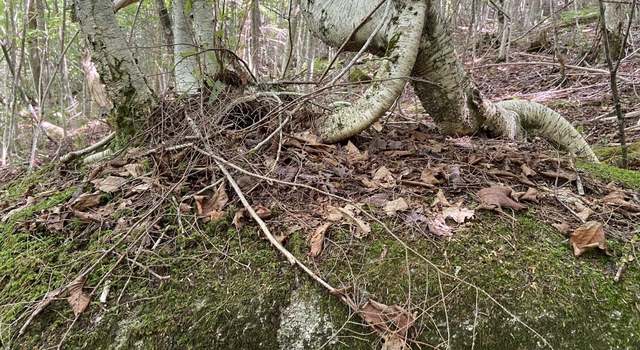 Photo of 0 Fall Brook Rd #4, Wheelock, VT 05851-000